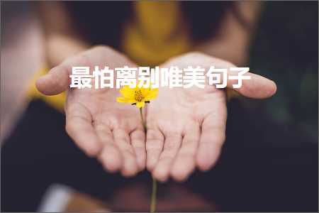 琛ㄦ壃鍏诲疇鐗╃嫍鐨勫敮缇庡彞瀛愶紙鏂囨40鏉★級